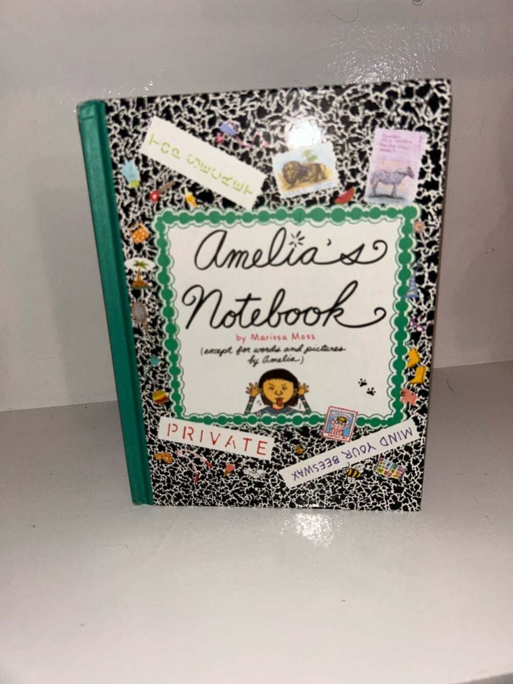 Amelia Amelia's Notebook, (Hardcover) - .com,